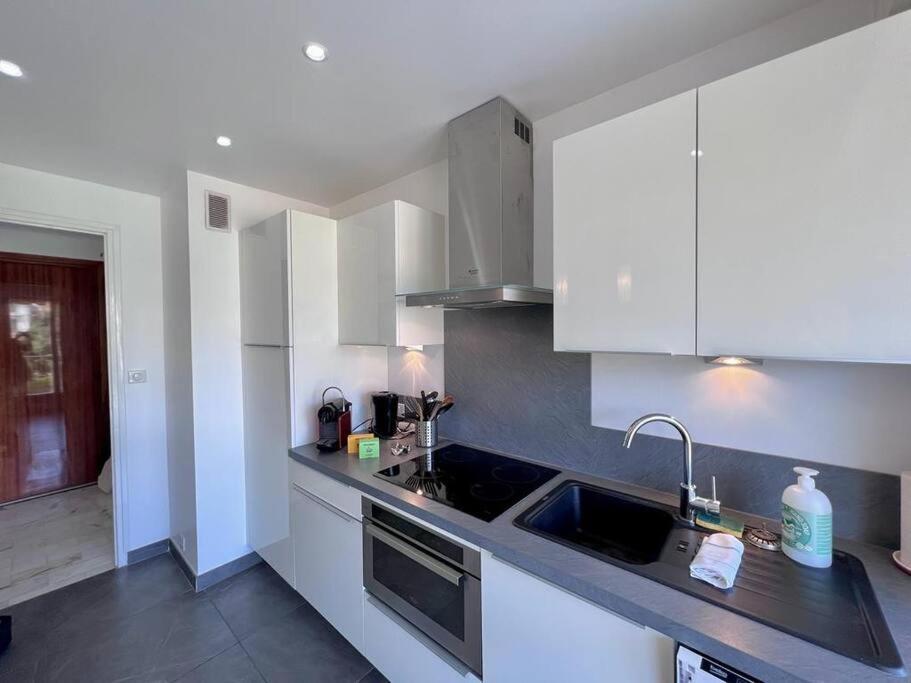 Le Pinede - Apt 4 Prs- Parking - Clim - 500M Plages Antibes Kültér fotó